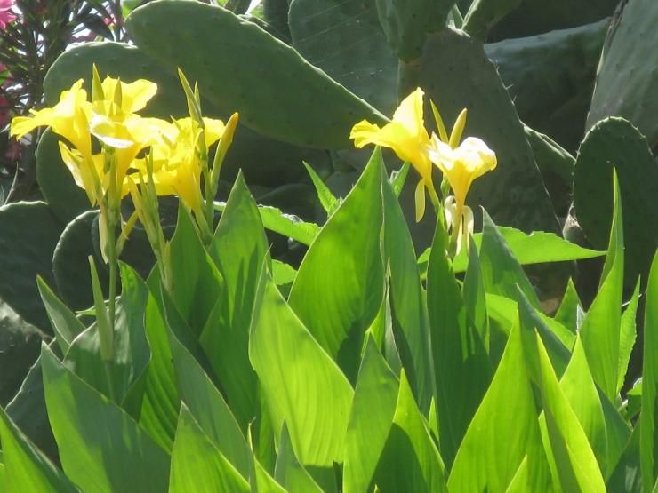 Η φωτογραφία της ημέρας