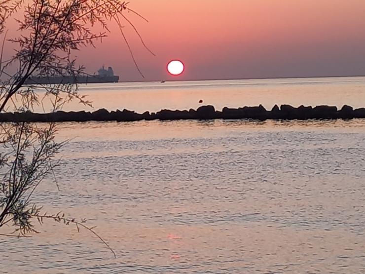 Η φωτογραφία της ημέρας