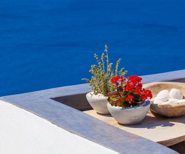 Η φωτογραφία της ημέρας