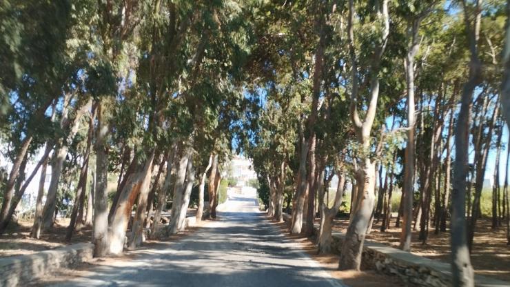 Η φωτογραφία της ημέρας