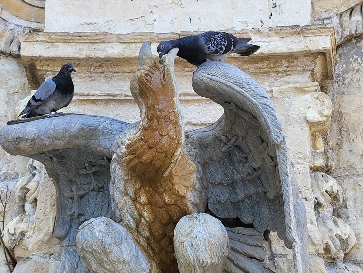 Η φωτογραφία της ημέρας