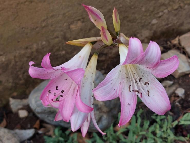 Η φωτογραφία της ημέρας