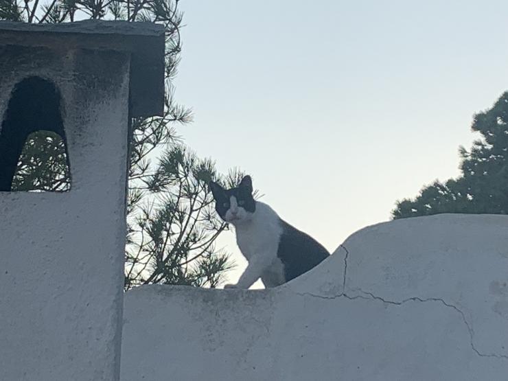 Η φωτογραφία της ημέρας