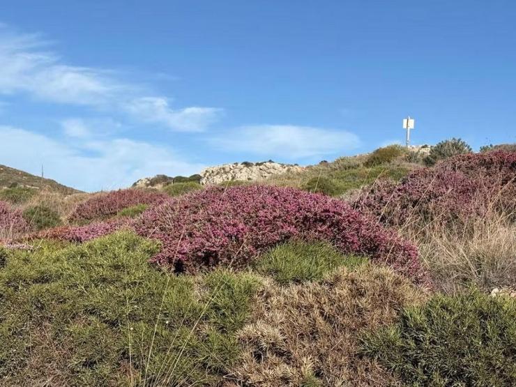 Η φωτογραφία της ημέρας