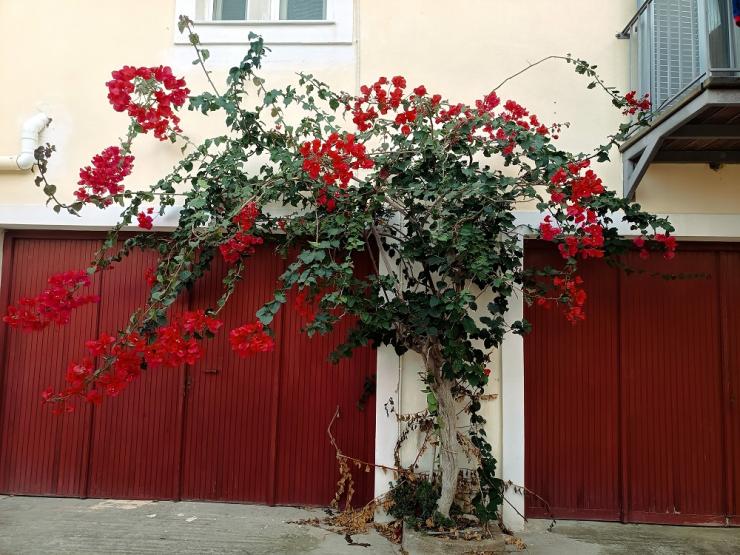 Η φωτογραφία της ημέρας