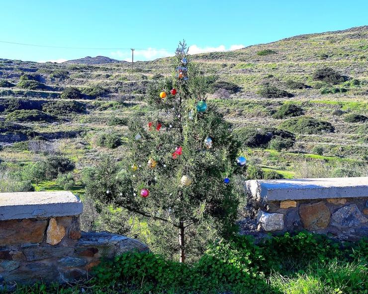 Η φωτογραφία της ημέρας