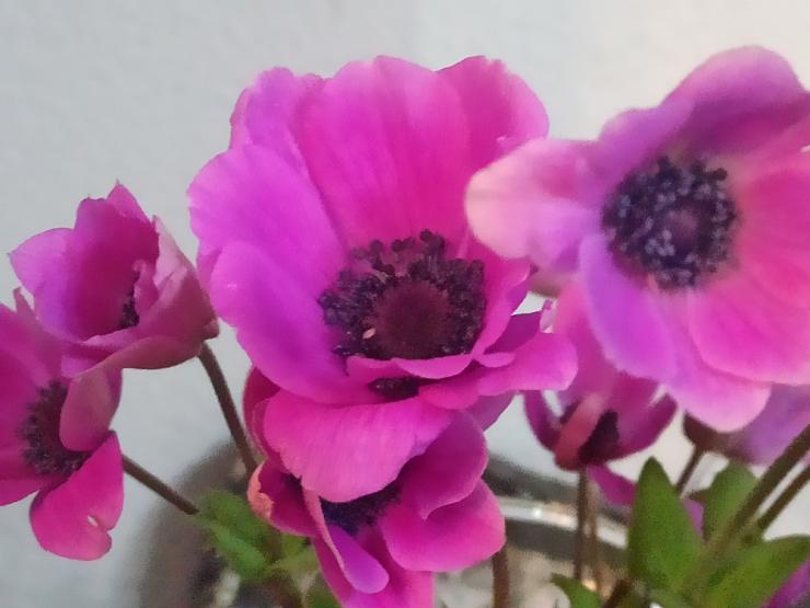 Η φωτογραφία της ημέρας