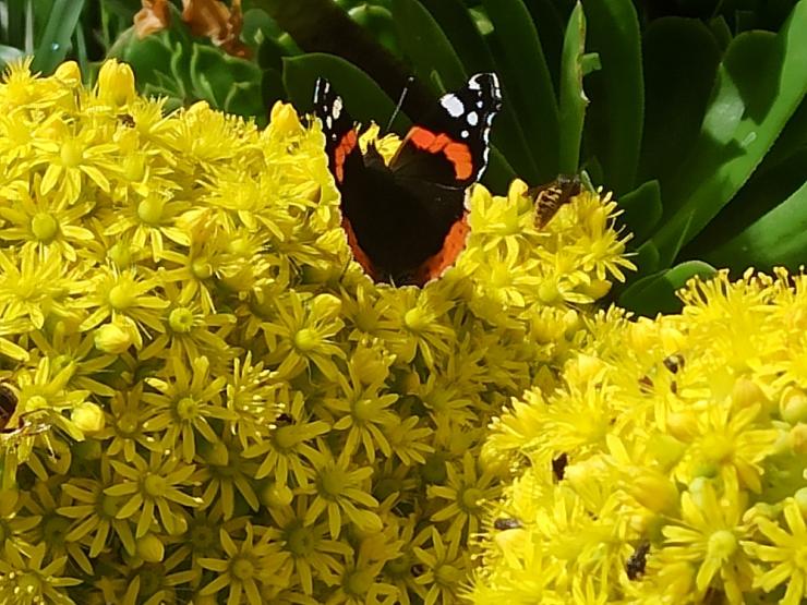 Η φωτογραφία της ημέρας