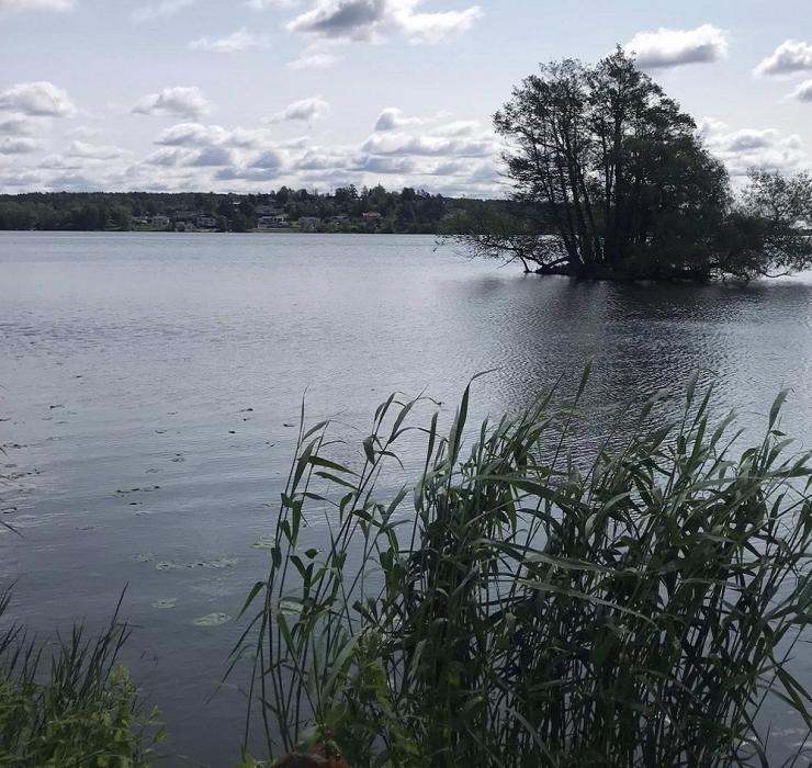 Η φωτογραφία της ημέρας