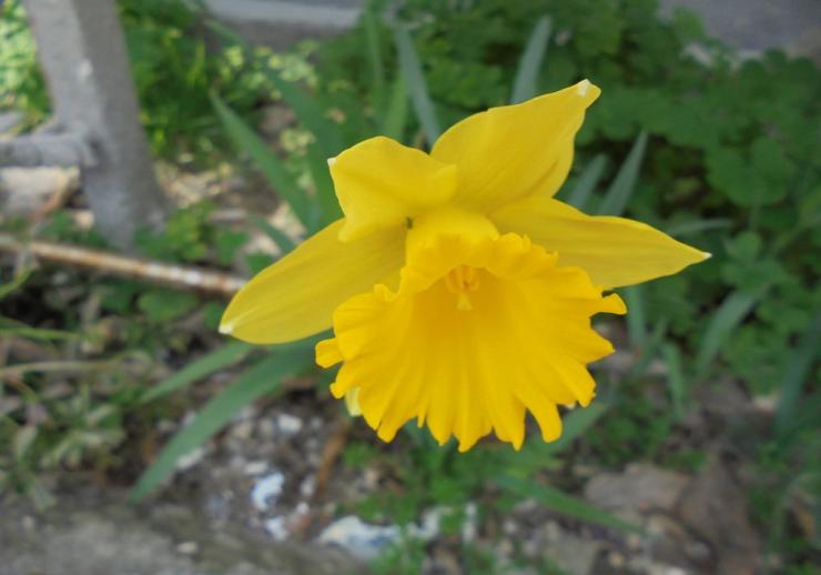 Η φωτογραφία της ημέρας