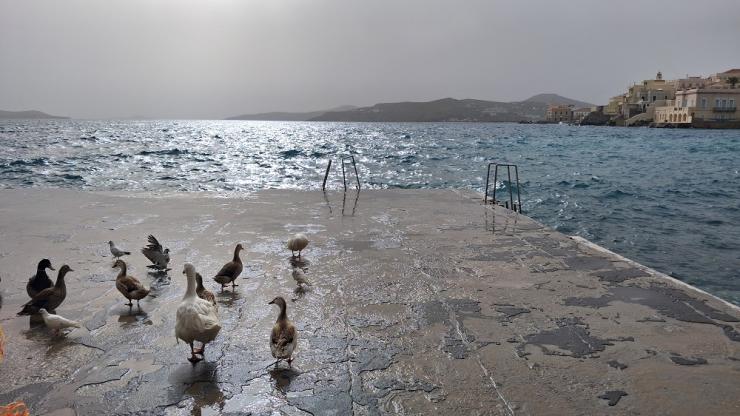 Η φωτογραφία της ημέρας