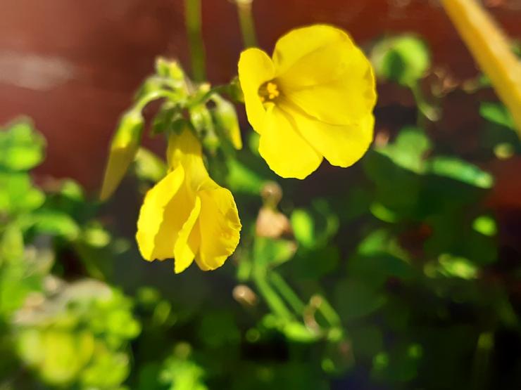 Η φωτογραφία της ημέρας