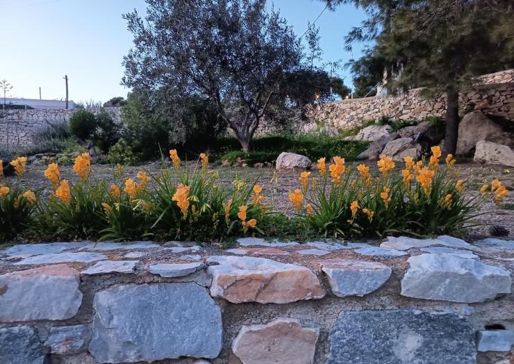 Η φωτογραφία της ημέρας