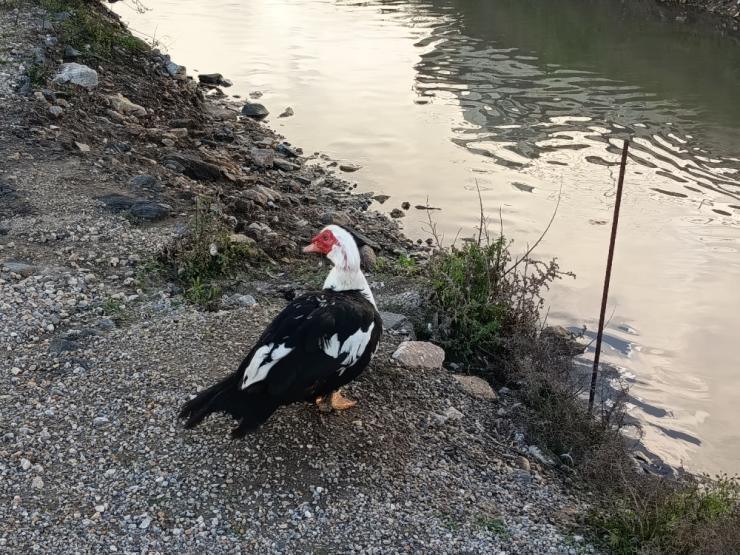 Η φωτογραφία της ημέρας