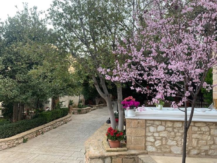 Η φωτογραφία της ημέρας