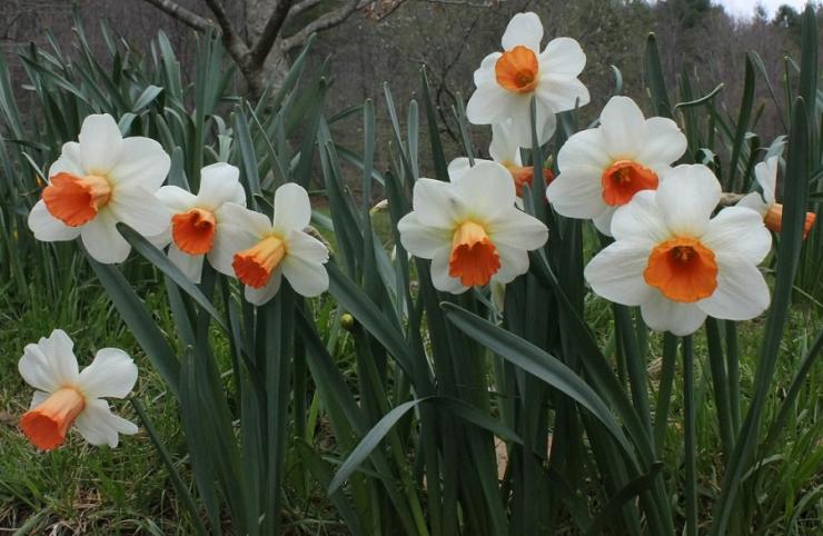 Η φωτογραφία της ημέρας