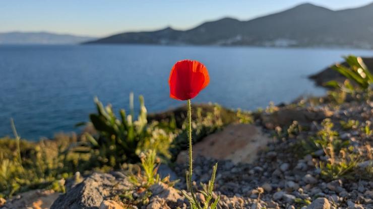 Η φωτογραφία της ημέρας