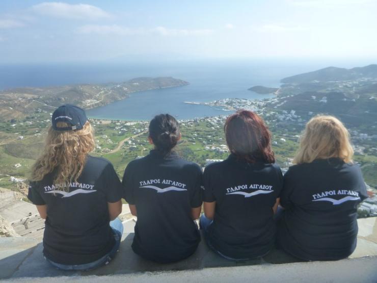 Οι γλάροι του Αιγαίου και πάλι στην… Σίφνο