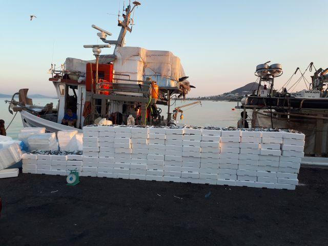 Αλιευτικός έλεγχος και κατάσχεση 2.288 κιλών αλιευμάτων στη Νάξο