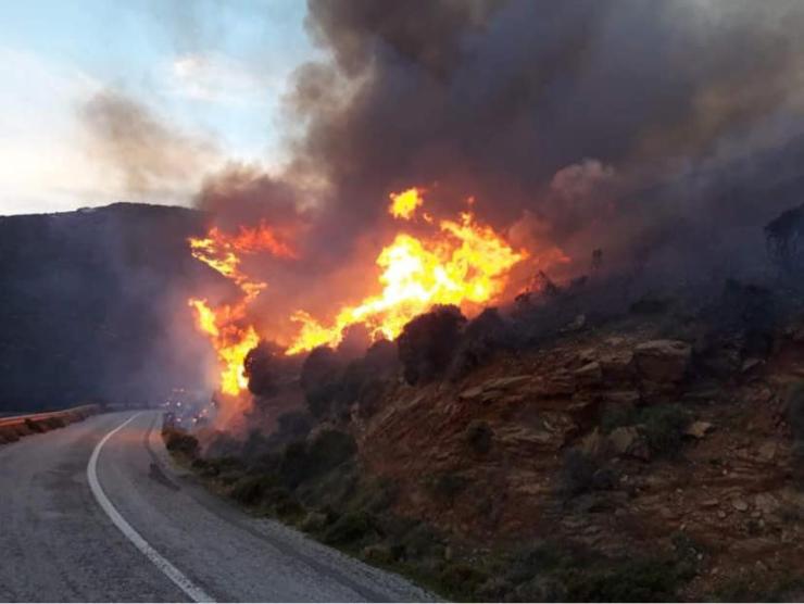 Ανακοίνωση της Δ/ΝΣΗΣ Δασών Ν. Κυκλάδων σχετικά με την πρόσφατη Πυρκαγιά στην ν. Άνδρο 