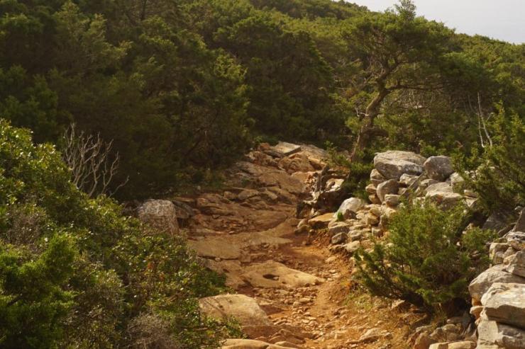 Δημιουργία βοτανικού μονοπατιού στη Σίφνο
