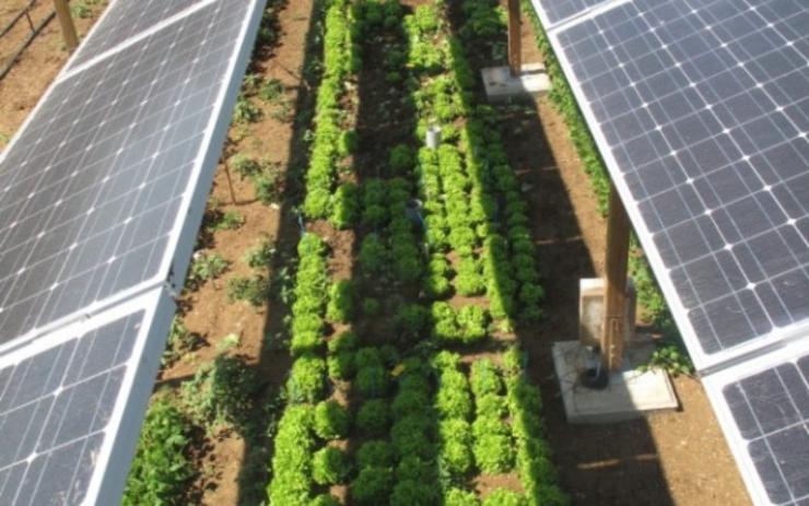 Επενδύσεις βελτίωσης των αγροτικών προϊόντων