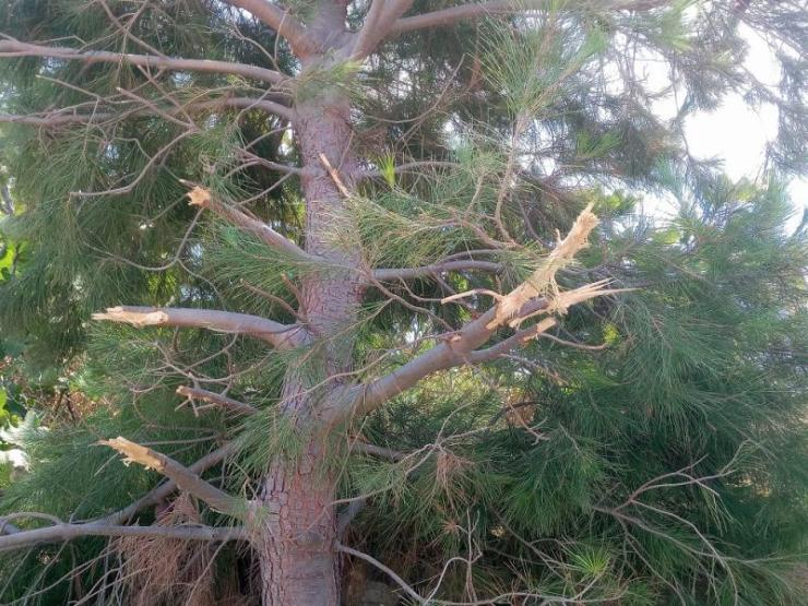 Περιβαλλοντική καταστροφή με την “αδιάφορη” περιφέρεια