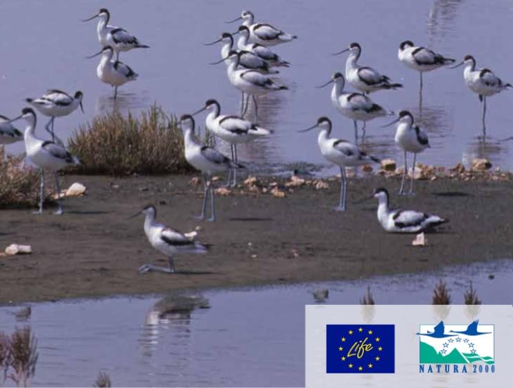 «Δίχτυ προστασίας» στα προστατευόμενα είδη και τους τύπους οικοτόπων της χώρας