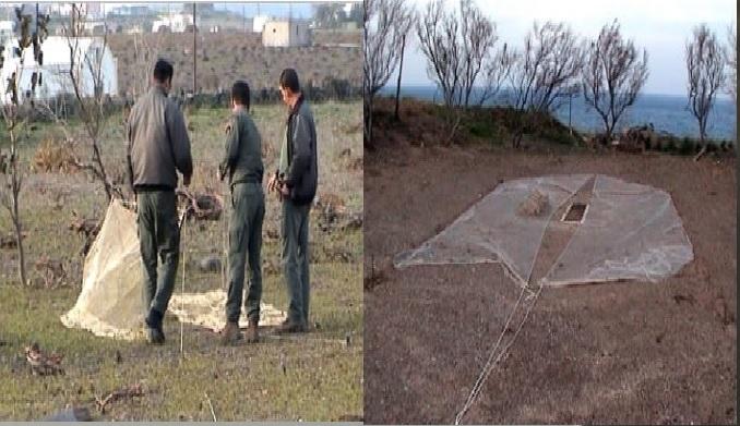 Συντονισμένες δράσεις κατά του παράνομου εμπορίου άγριων πτηνών στη Σαντορίνη