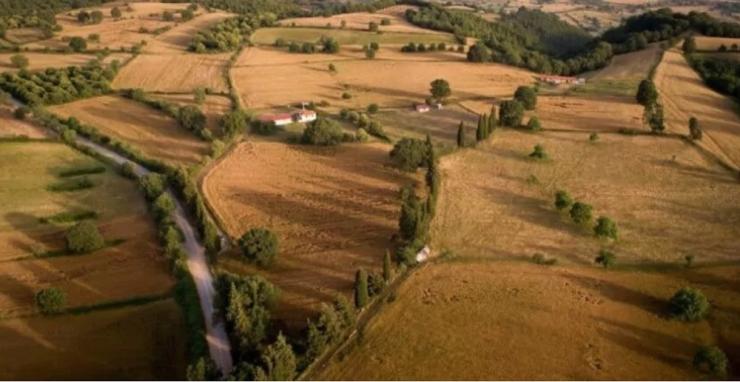 Αχαΐα – Δασικοί Χάρτες: Σε ομηρία χιλιάδες ιδιοκτήτες, χάνονται περιουσίες