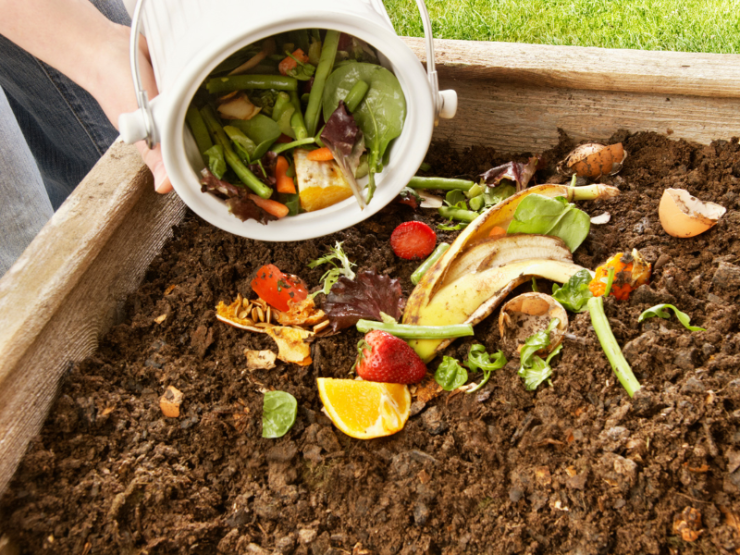 Η Άνδρος μαθαίνει πως να αξιοποιεί τα υπολείμματα τροφών