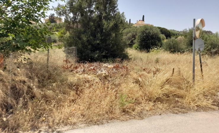 "Τρέχουν" για τον καθαρισμό του οδικού δικτύου