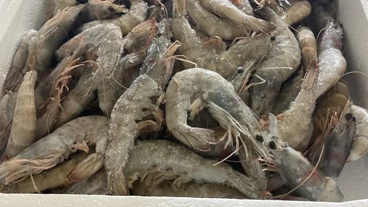 Περιφέρεια Αττικής: Νέες κατασχέσεις 5,6 τόνων ακατάλληλων τροφίμων