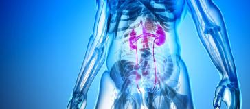 Η εκστρατεία της Ελληνικής Ουρολογικής Εταιρείας που «σπάει τη σιωπή» γύρω από τις ουρολογικές παθήσεις