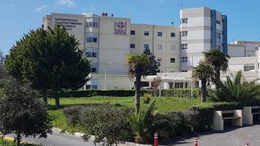 Διασωληνώθηκε ο τετράχρονος που δέχτηκε επίθεση σκύλου στην Κρήτη 