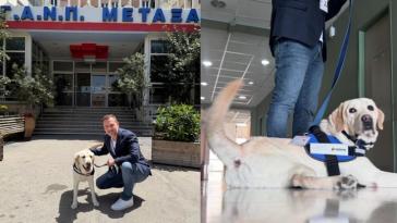 Στο νοσοκομείο «Μεταξά» ο πρώτος σκύλος θεραπείας