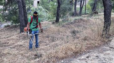 Παρατείνεται η προθεσμία των καθαρισμών οικοπέδων έως τις 22 Ιουνίου