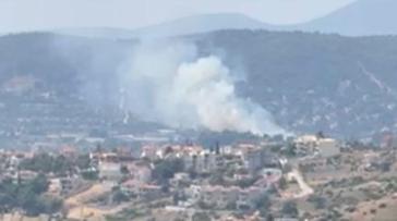 Φωτιά στα Σπάτα κοντά στο κτήμα Νάσιουτζικ