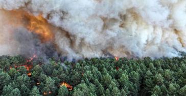 Ρεκόρ καμένων εκτάσεων μέχρι τα μέσα Ιουλίου στη Γαλλία