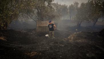 Λέσβος: 1.000 καμένα στρέμματα η πρώτη εκτίμηση από τη φωτιά στο Πλωμάρι