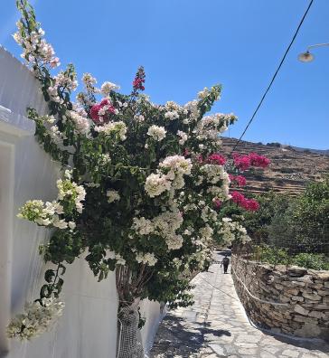 Η φωτογραφία της ημέρας