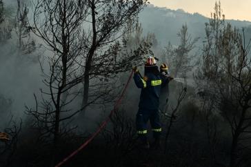 “Δεν ανάβουμε σήμερα φωτιά για κανέναν λόγο”: Έκκληση από τον εκπρόσωπο της Πυροσβεστικής
