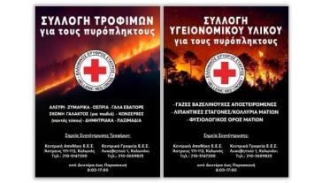 Σύρος: Συλλογή τροφίμων και υγειονομικού υλικού για τους πυρόπληκτους 