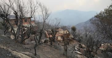 Θανατική ποινή για τους εμπρηστές θέλει ο πρόεδρος της Αλγερίας