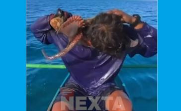 Τρόμος στις Φιλιππίνες: Χταπόδι «κολλάει» στο πρόσωπο ψαρά που παλεύει για τη ζωή του
