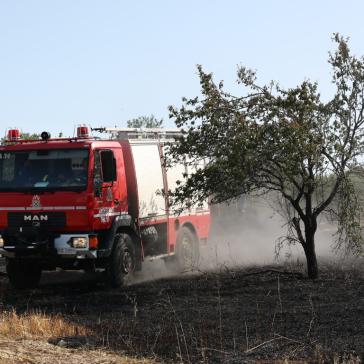 Φωτιά στη Νάξο στην περιοχή Μικρή Βίγλα – Κινητοποιήθηκαν 10 πυροσβέστες