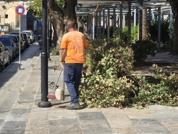 Φροντίδα πρασίνου στην πλατεία Μιαούλη 