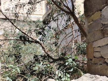 Παντελής αδιαφορία παρά τη γιγάντωση των χόρτων 