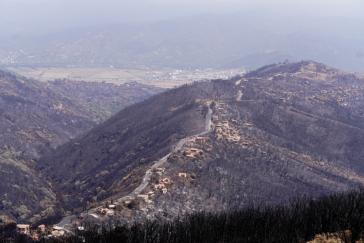 Η Αλγερία επεκτείνει τη θανατική ποινή σε εμπρηστές δασών
