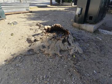 Σημεία “παγίδες” για μικρούς και μεγάλους 